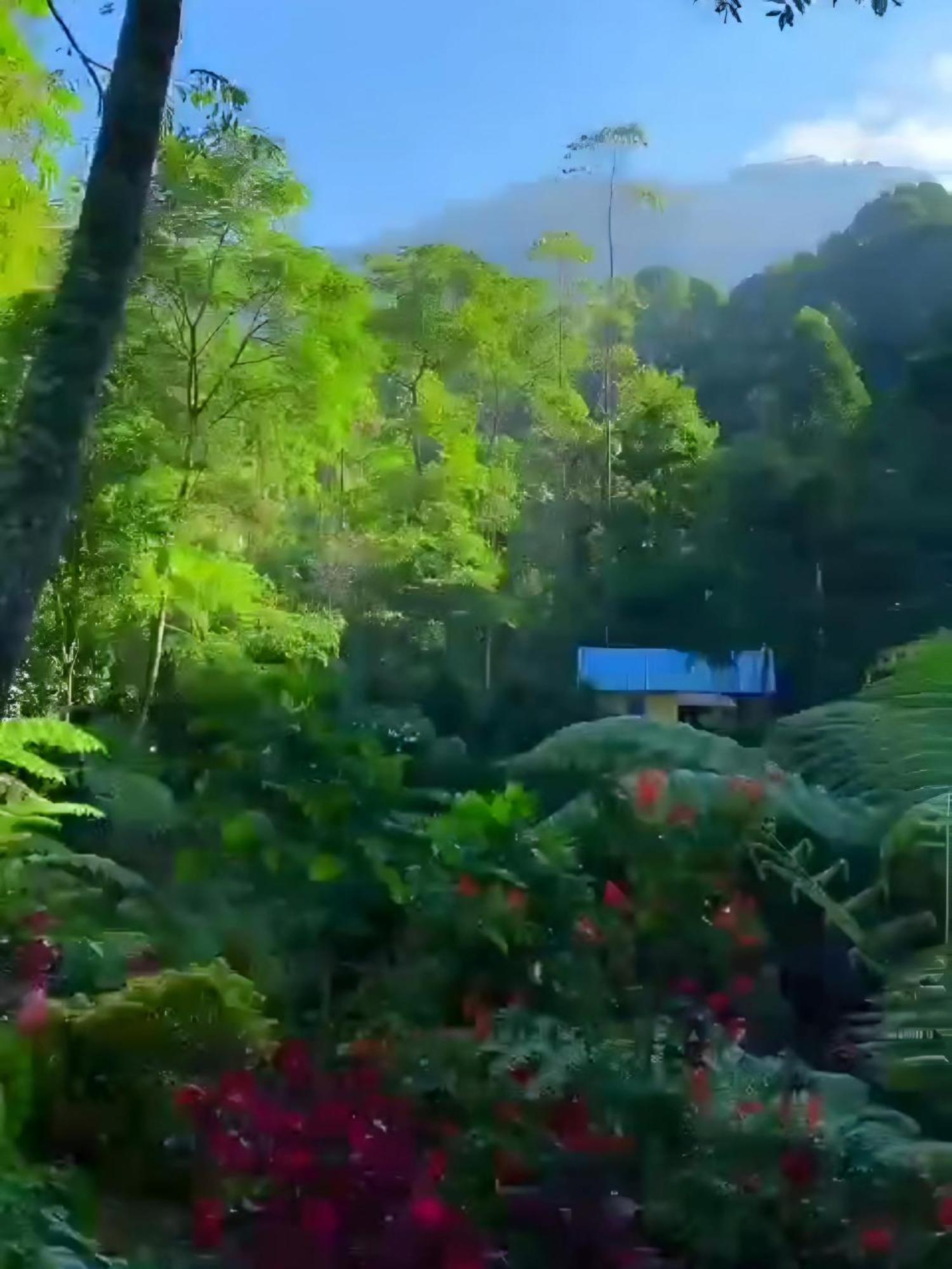Hotel Penginapan Nuansa Riung Gunung Pangalengan Zewnętrze zdjęcie